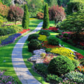 Achieving Balance: The Key to a Stunning Landscape Design
