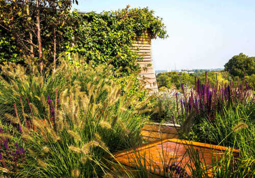 The Art of Landscaping: Understanding the Difference Between Landscape and Landscaping