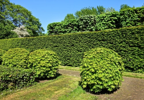 The Art of Balancing Hard and Soft Landscaping